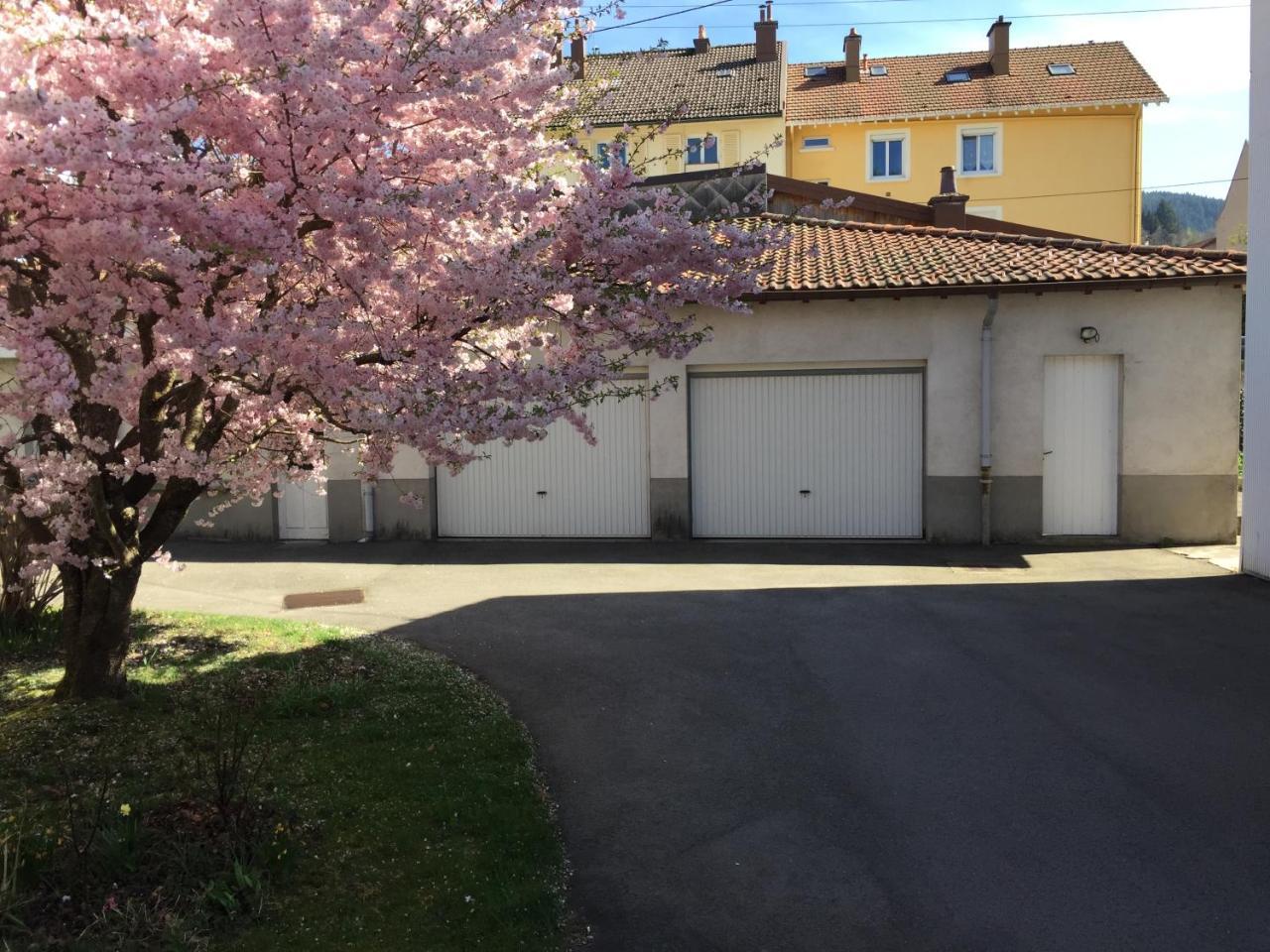 Le Chamois Apartment Gérardmer Exterior foto